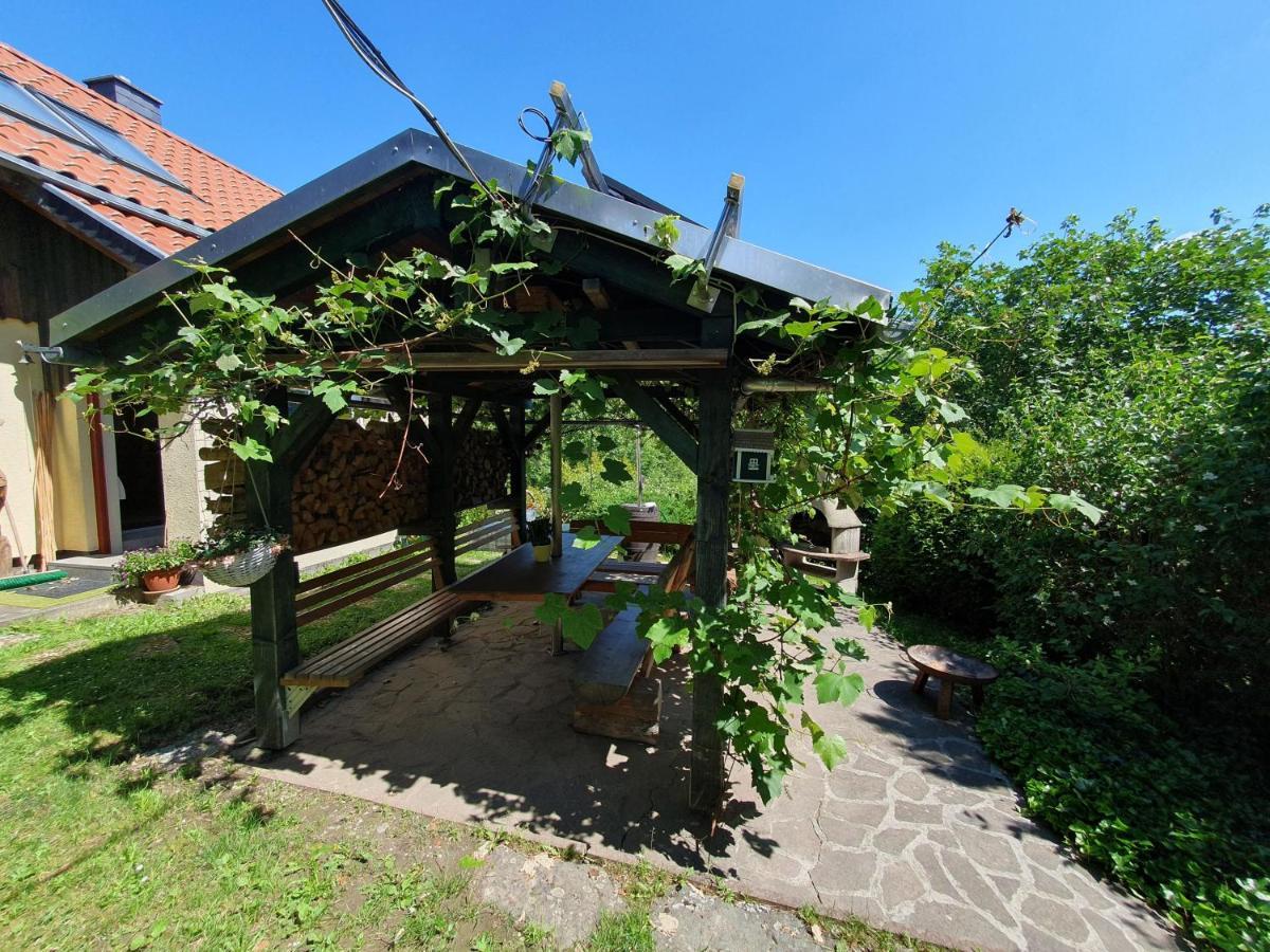 Das Gruene Haus Am Hexenstieg Höhlenort Rübeland Exterior foto