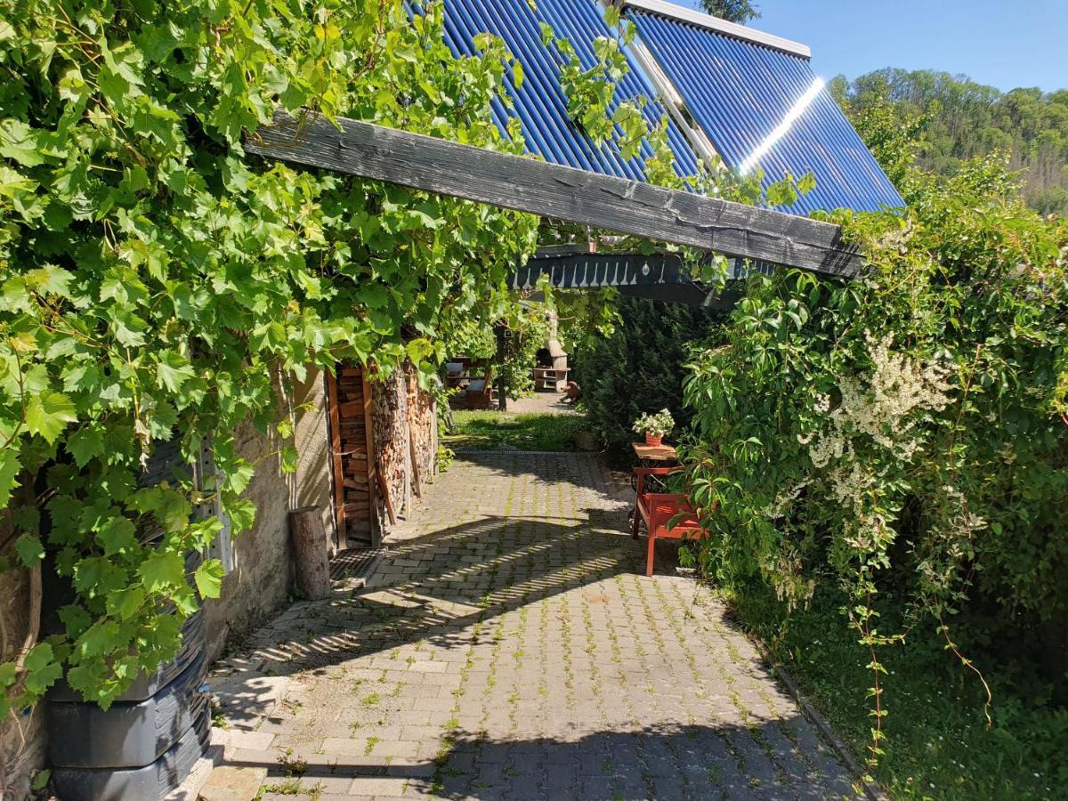 Das Gruene Haus Am Hexenstieg Höhlenort Rübeland Exterior foto
