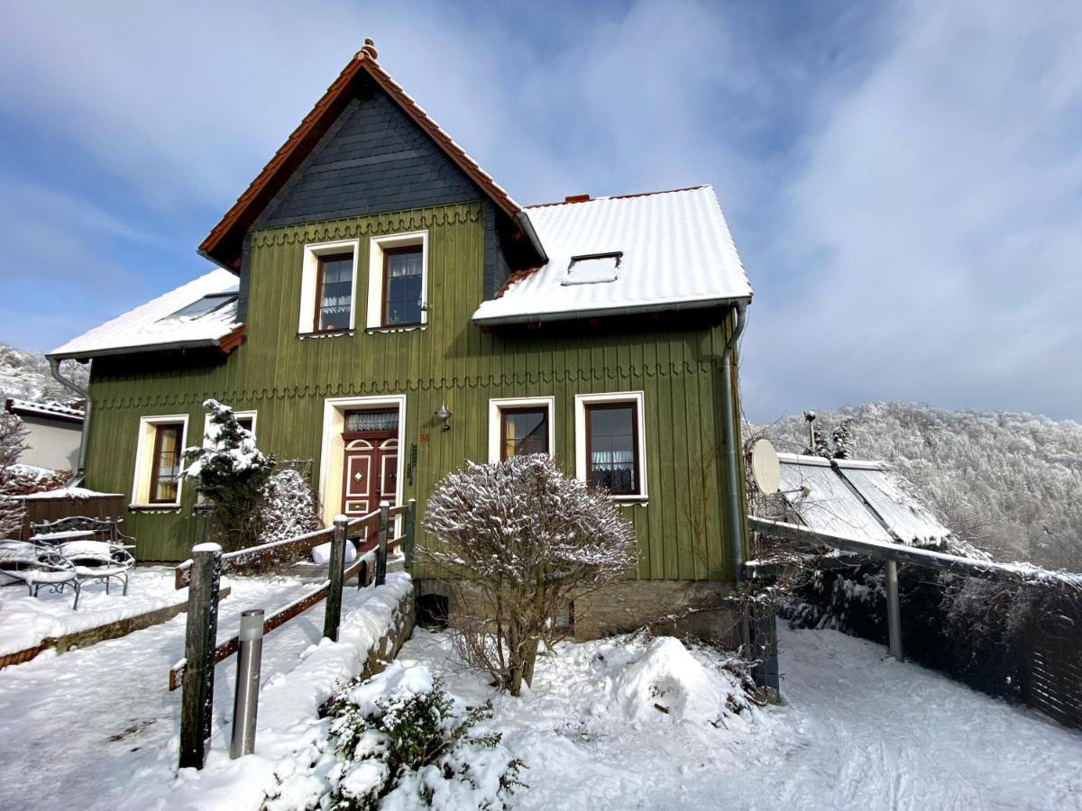 Das Gruene Haus Am Hexenstieg Höhlenort Rübeland Exterior foto
