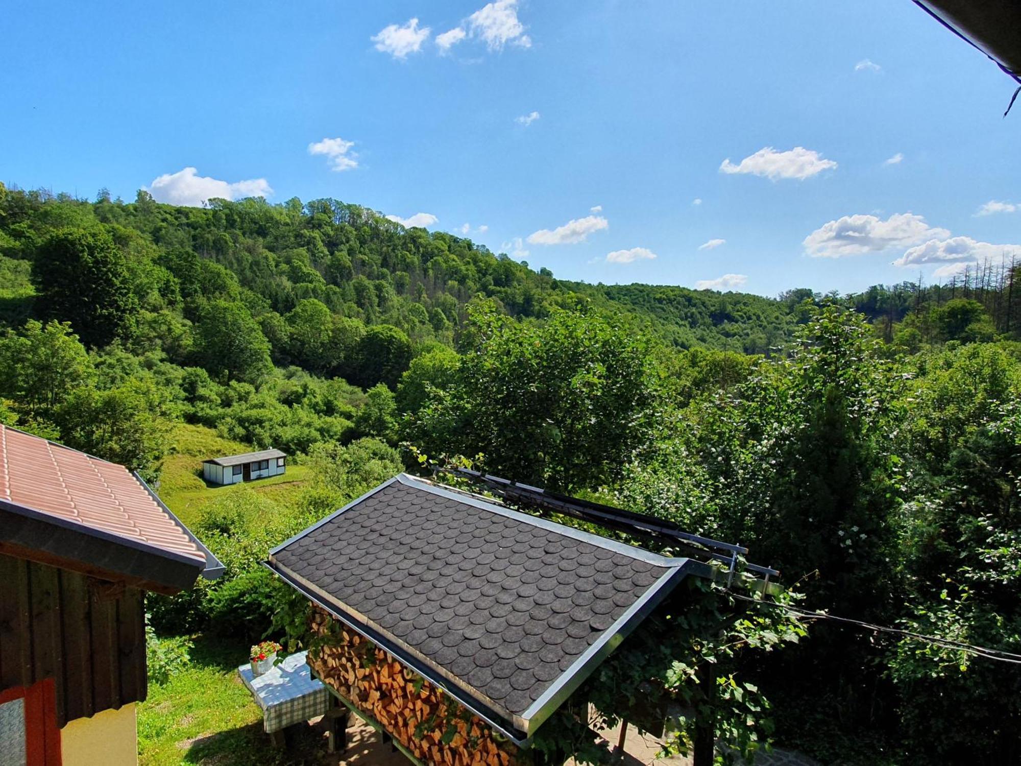 Das Gruene Haus Am Hexenstieg Höhlenort Rübeland Exterior foto